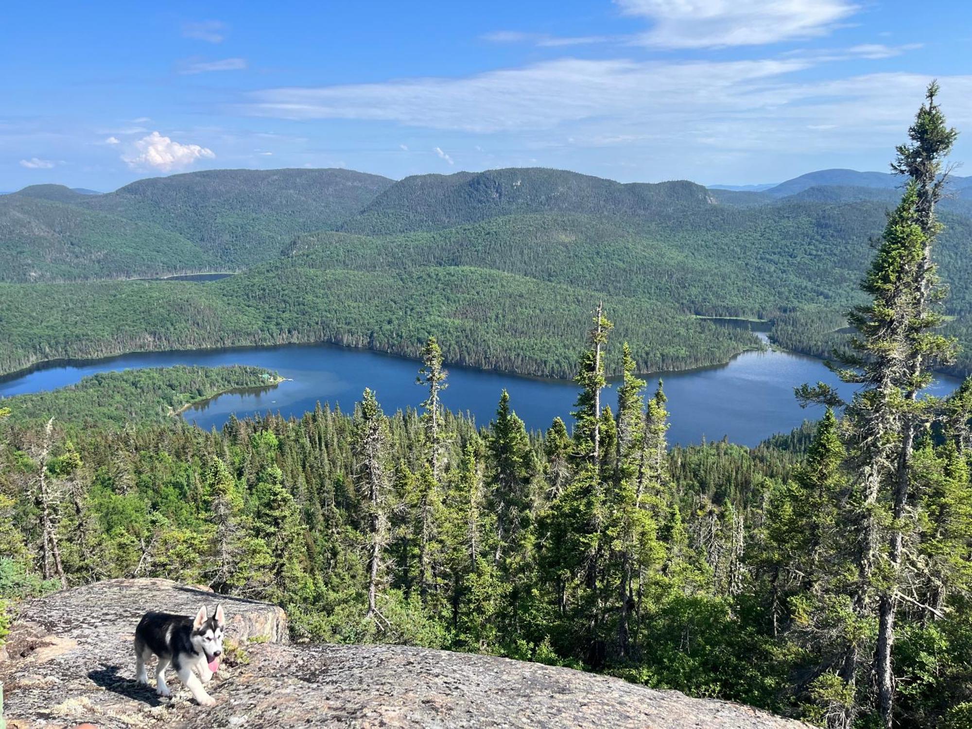 Auberge Boreale De Charlevoix Petit-Saguenay Ngoại thất bức ảnh